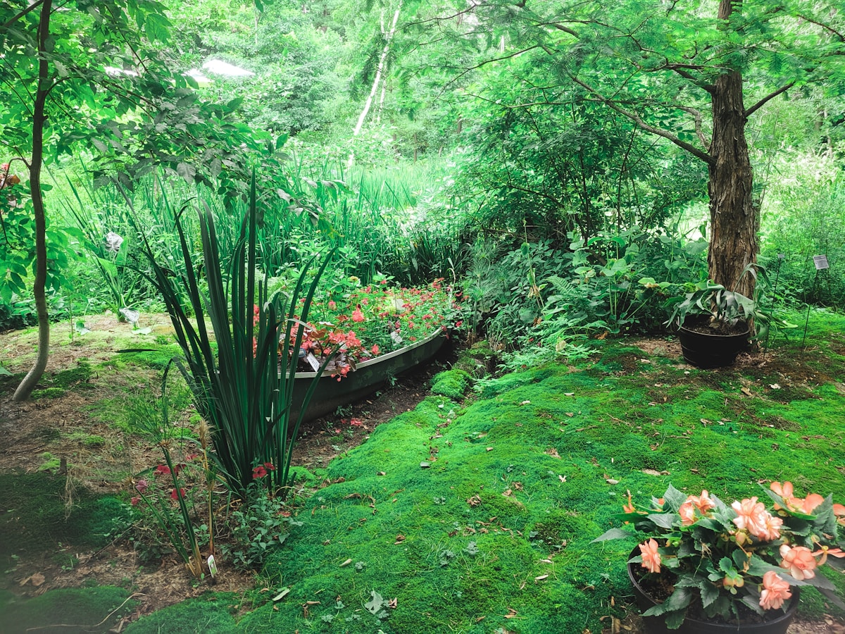 Garden and landscape maintenance